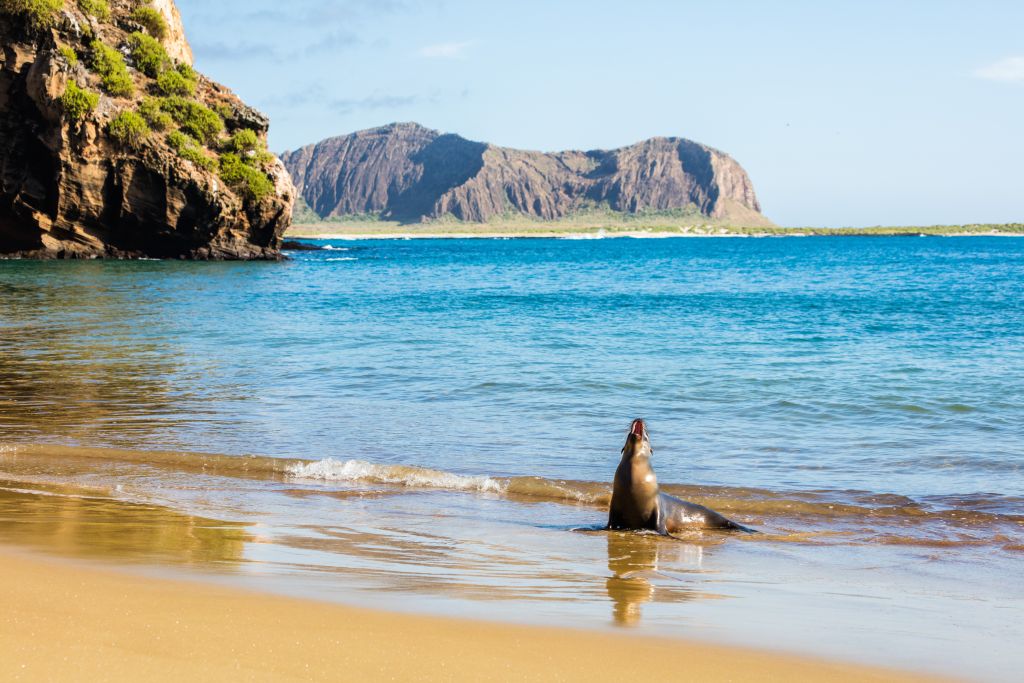 Parco nazionale delle isole Galapagos (Ecuador)