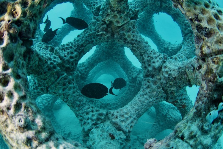 Modular Artificial Reef Structure