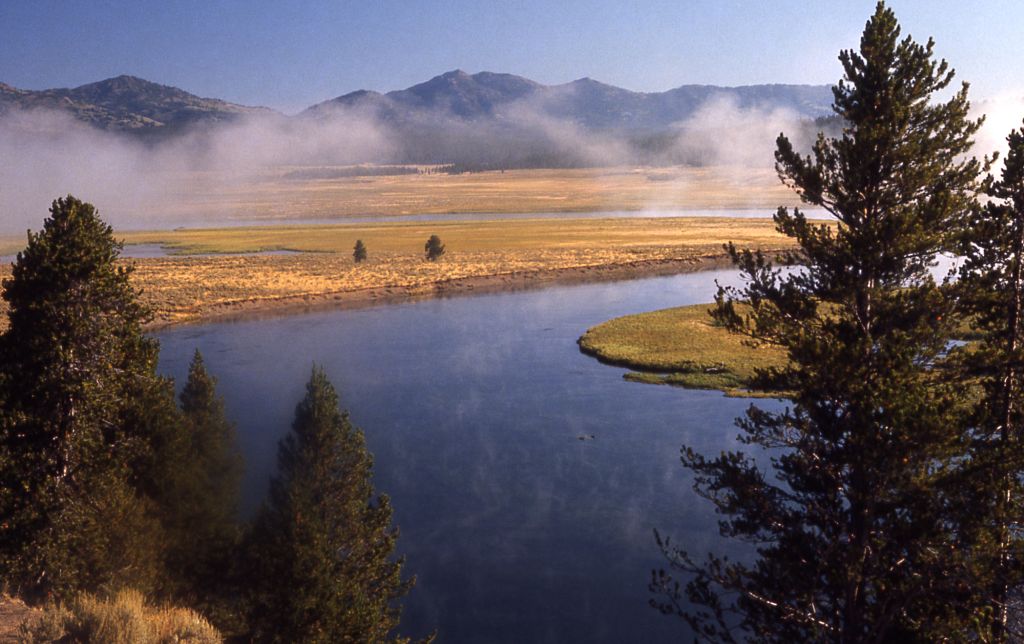 Parco nazionale di Yellowstone (Wyoming, Montana, Idaho - USA)