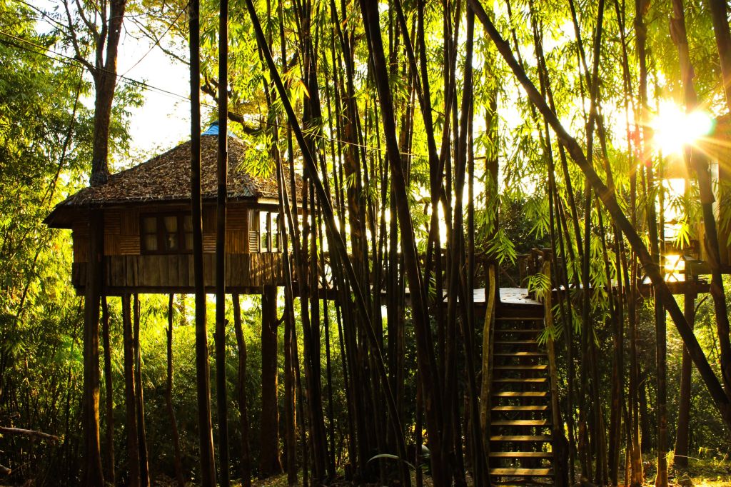 Hotel sull’albero: relax e natura negli alloggi sospesi