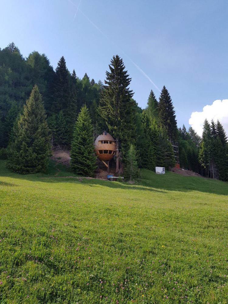 Pigna di Malga Priù casa sull'albero a Ugovizza