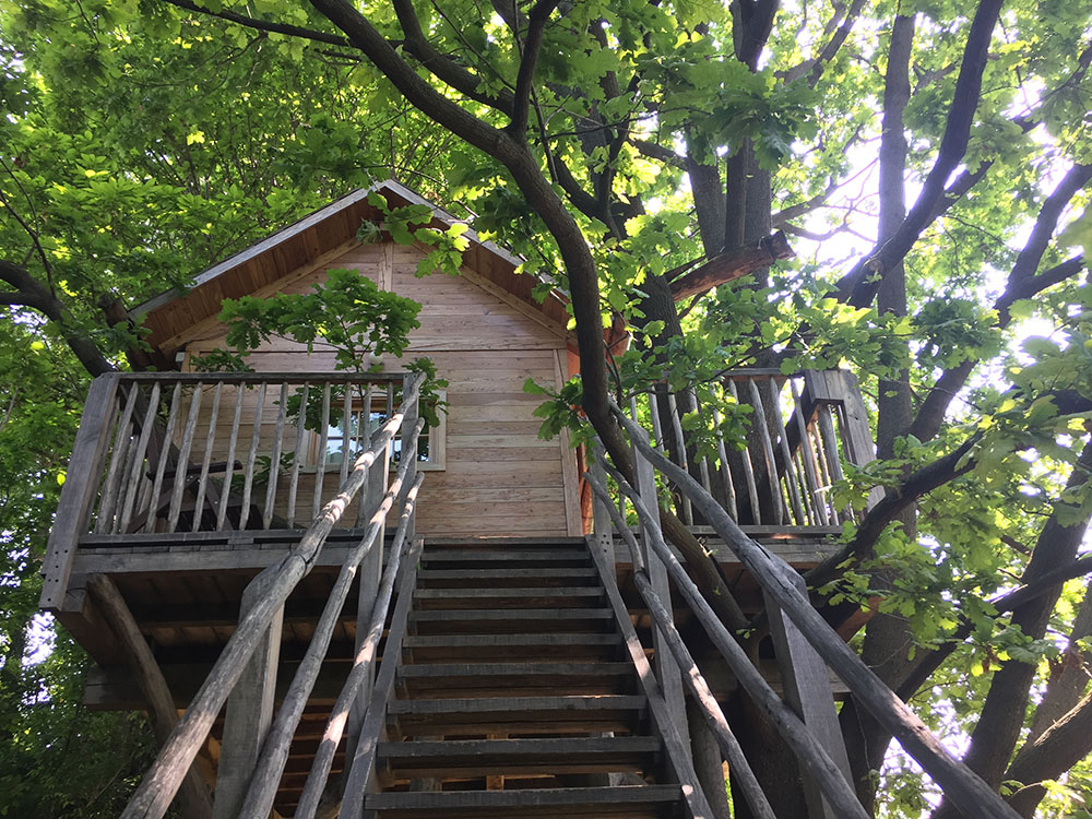 Il Giardino dei Semplici a Manta, la casa sull'albero Quercia