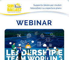 Webinar: Leadership e team working applicata al mondo del FV 11
