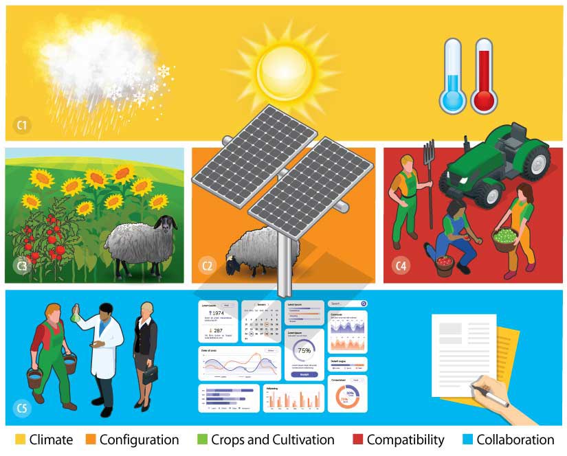 I 5 fattori di successo dell'Agrivoltaico, le "cinque C" 