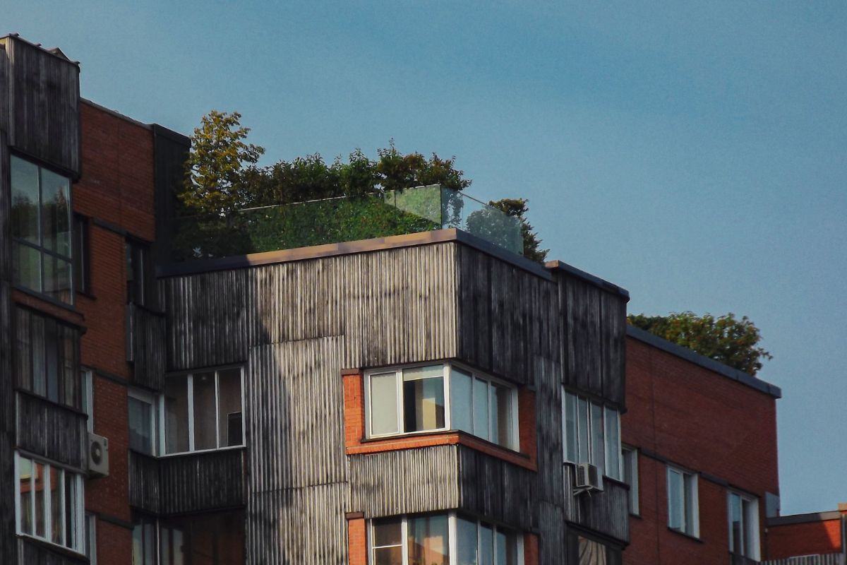 I tetti verdi migliorano l'efficienza energetica