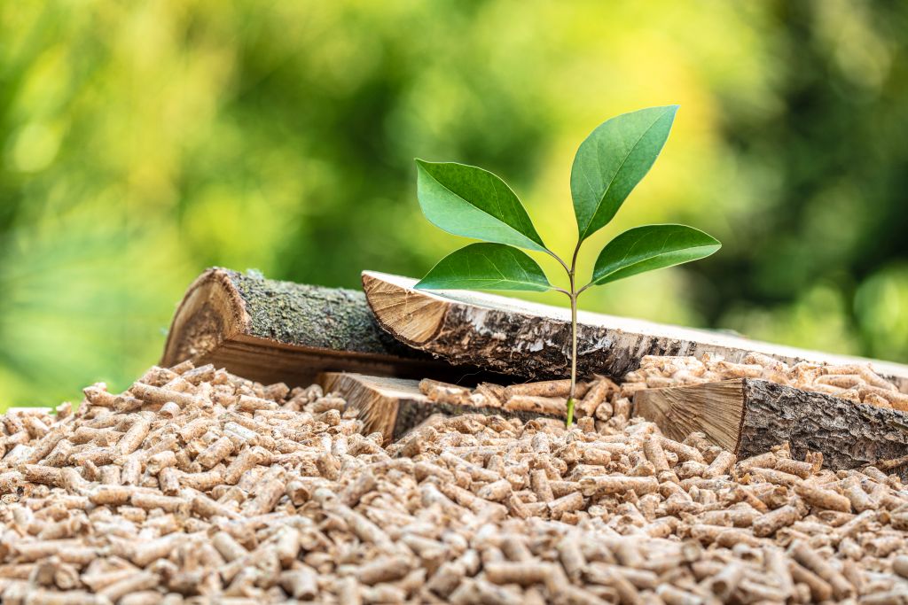 La stufa a biomassa, una soluzione green che fa risparmiare in bolletta