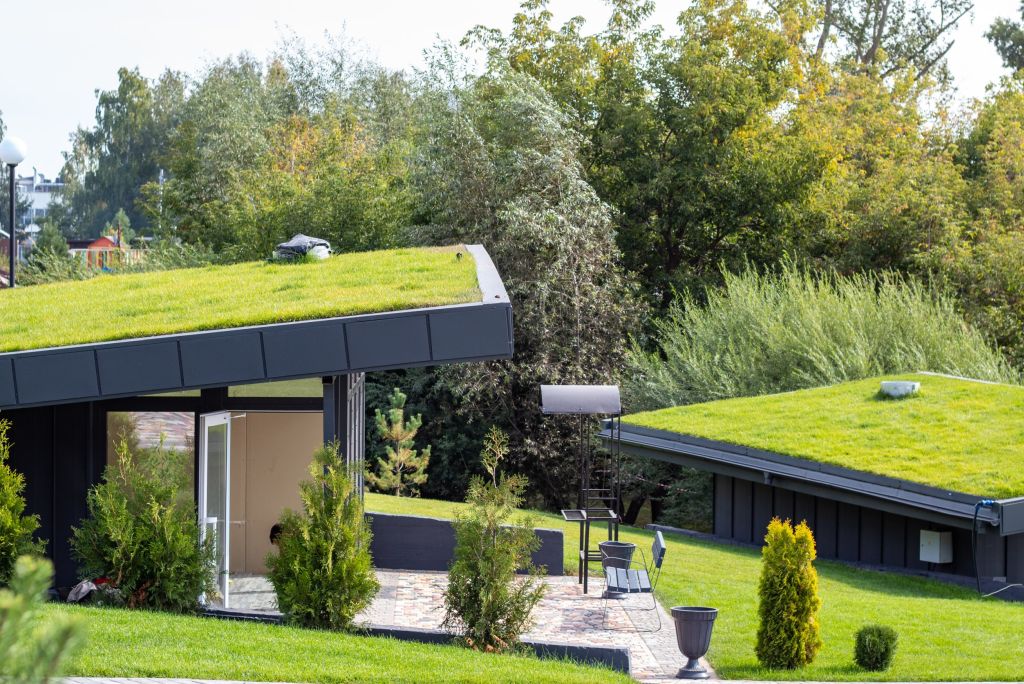 Tetti e pareti verdi per avere 3 °C in meno in casa d’estate 