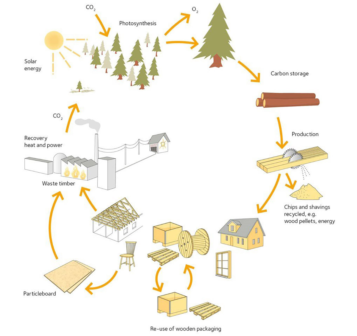 Il ciclo prodotti in legno