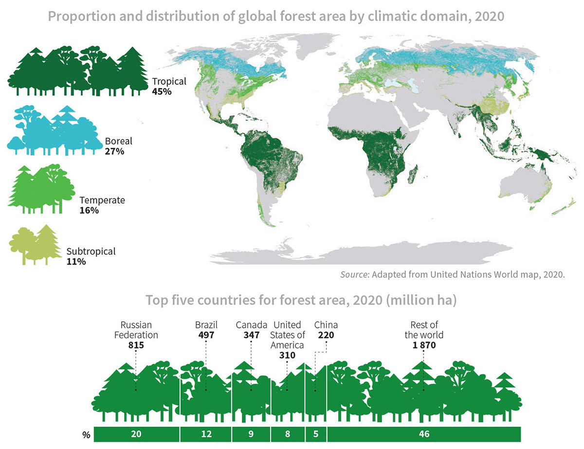 Distribuzione delle foreste nel mondo FAO