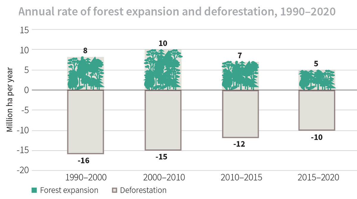 Espansione foreste e deforestazione mondo FAO