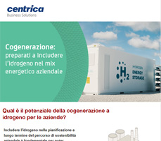 Cogenerazione: preparati a includere l’idrogeno nel mix energetico della tua azienda 11