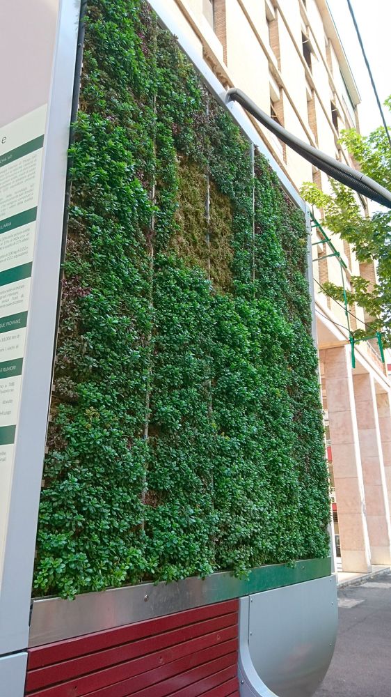 CityTree, un'infrastruttura vegetale mangia smog