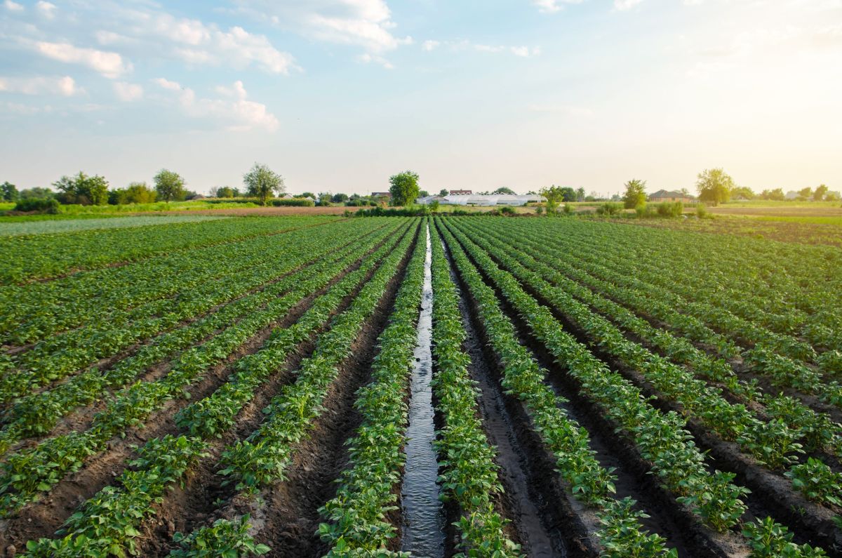 Cos’è l’agricoltura sostenibile