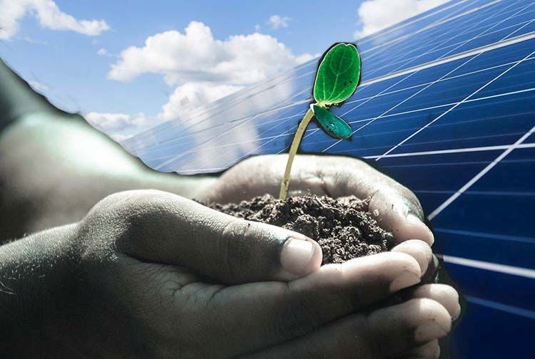 Crediti di carbonio volontari e fotovoltaico: così si sostengono progetti vitali