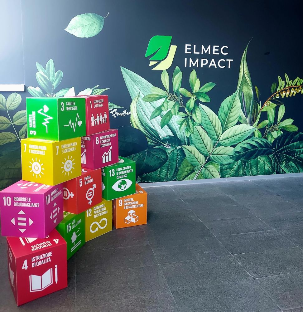 Elmec contribuisce ad alcuni dei Sustainable Development Goals dell'agenda ONU 2030