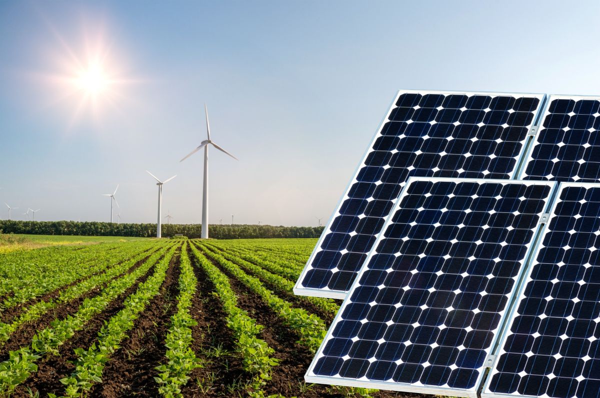 Agrivoltaico sostenibile: una DOP per i prodotti agricoli con energia verde