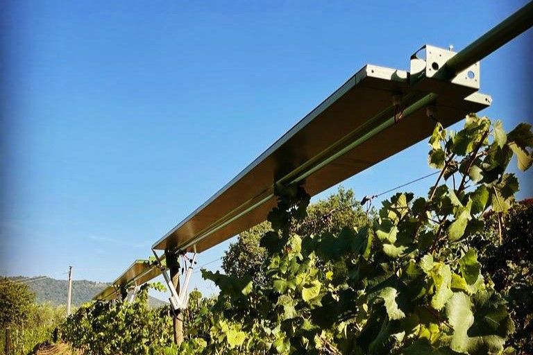 Infrastruttura “Power Shield Tech” sviluppata da i-pergola a sostegno dell'agrivoltaico