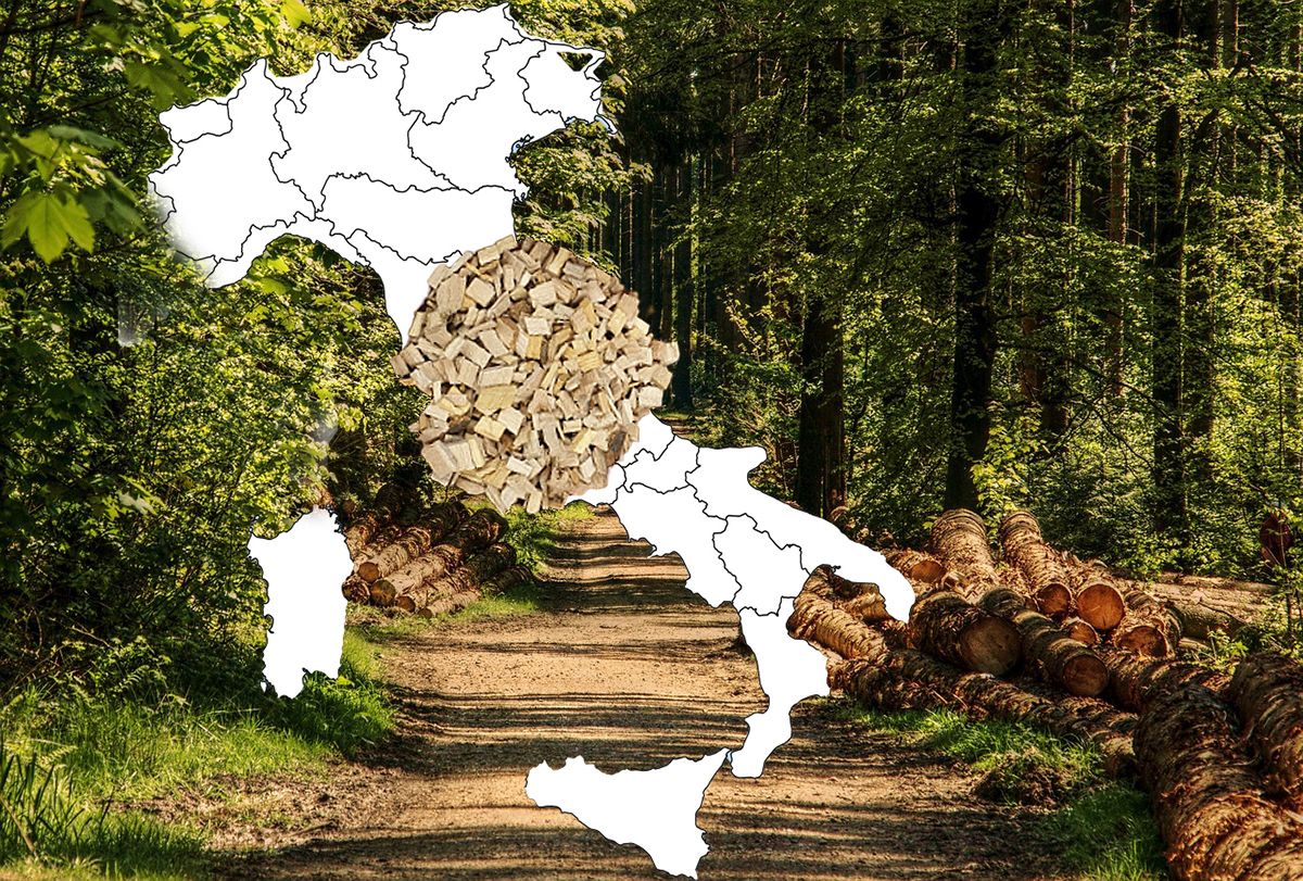 Cippato calibrato: un’occasione per la biomassa legnosa a km zero, italiana e circolare