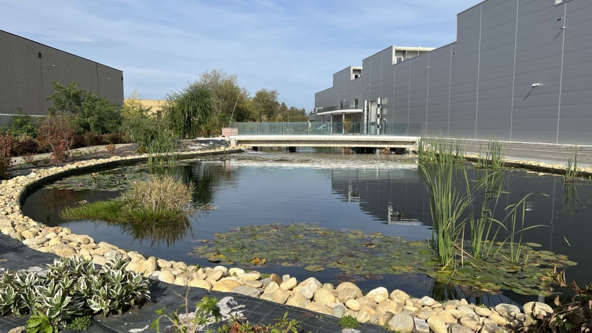 Green factory di Sintra, il ruolo del biolago per la fitodepurazione