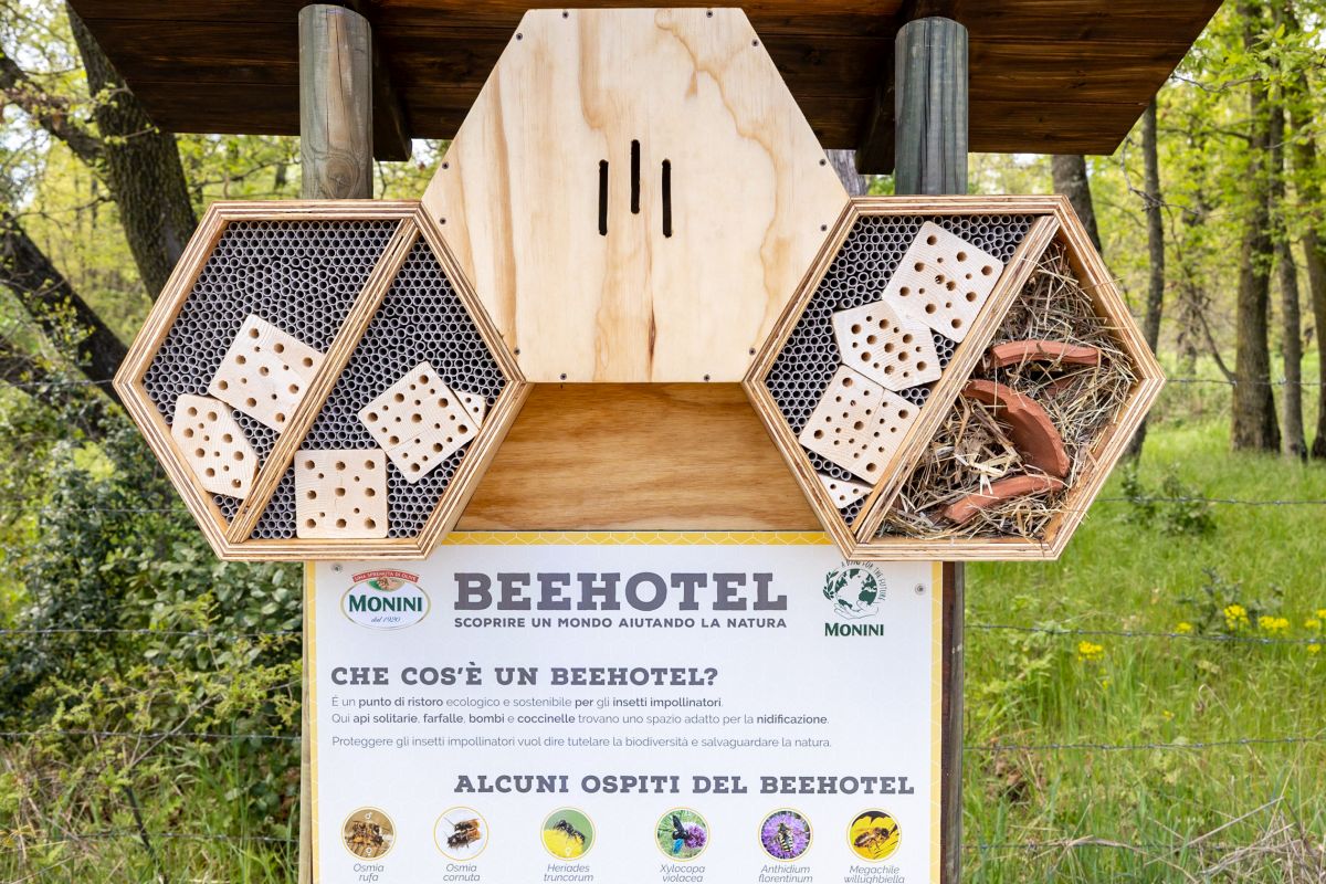 Uno dei "bee-hotel" installati presso la tenuta Monini di Perolla, in provincia di Grosseto