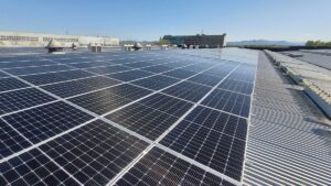 E.ON e UNICO insieme per la sostenibilità ambientale  