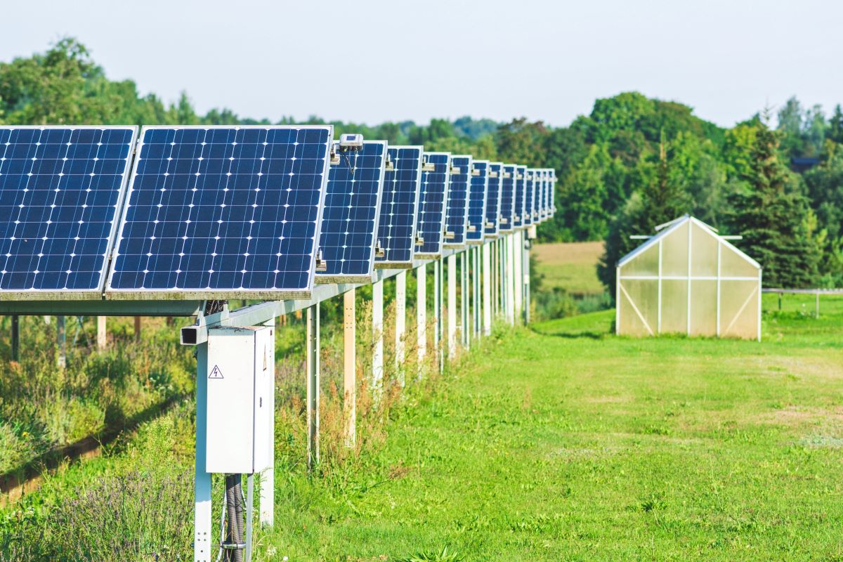 Solare semitrasparente: le opportunità per l’agrivoltaico e per contesti urbani