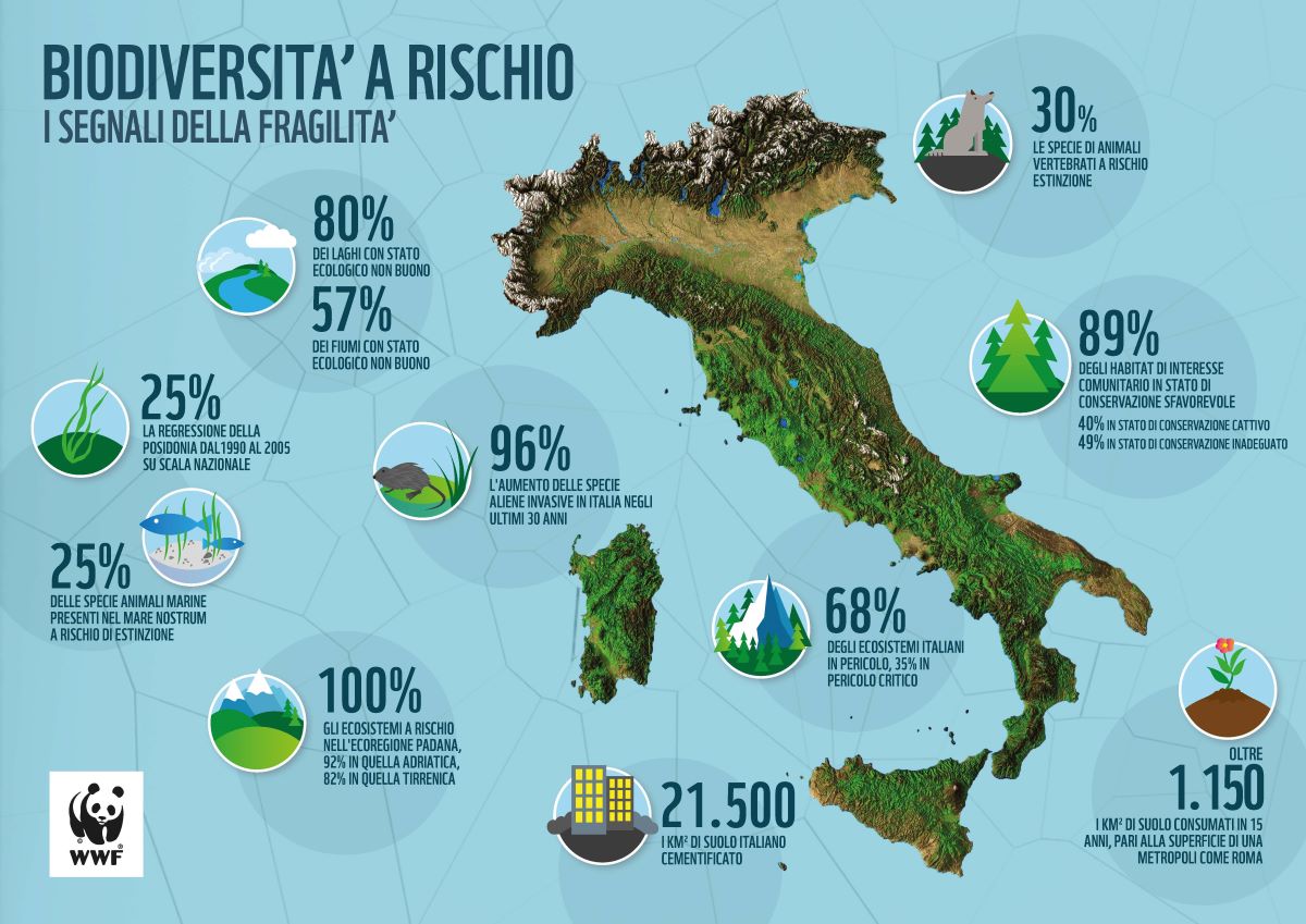 Biodiversità, allarme WWF: in Italia a rischio il 68% degli ecosistemi