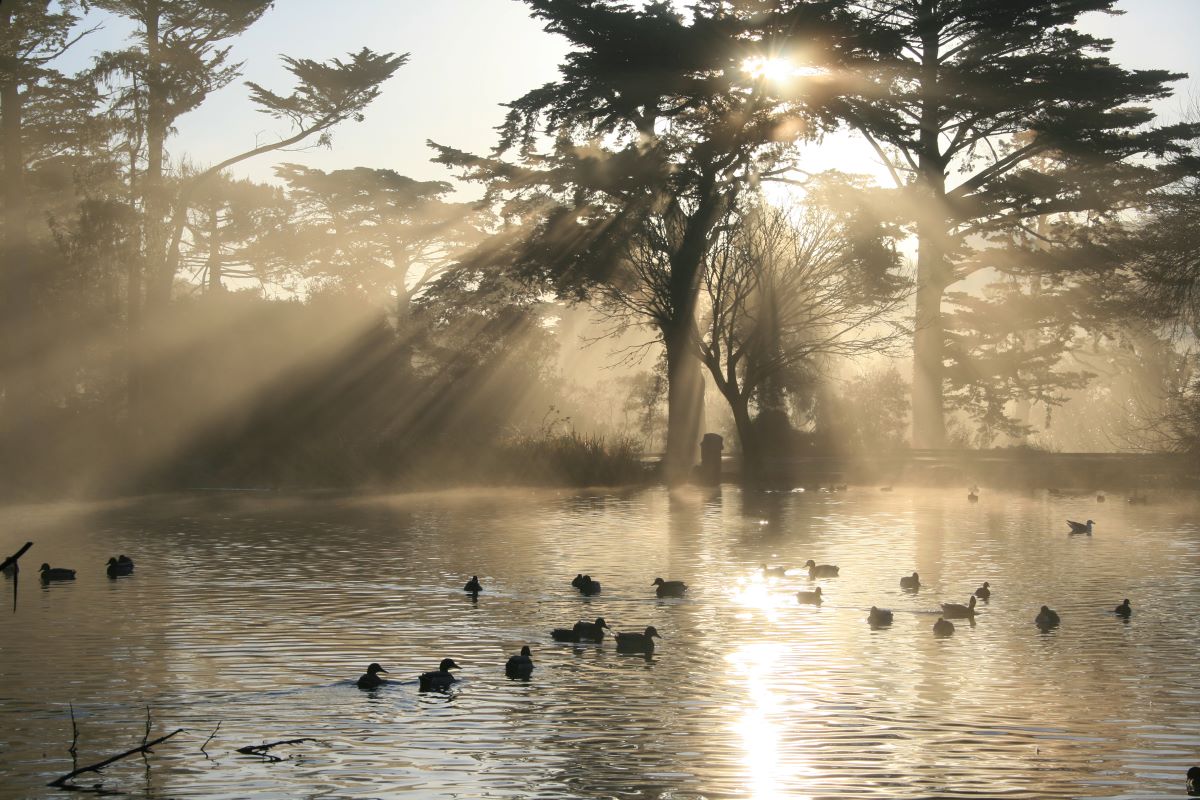 Golden Gate Park a San Francisco