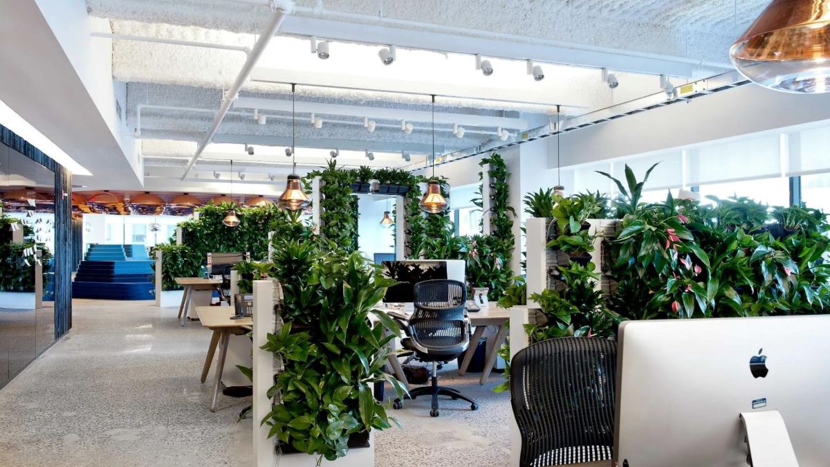 Ufficio biofilico McCann Erickson