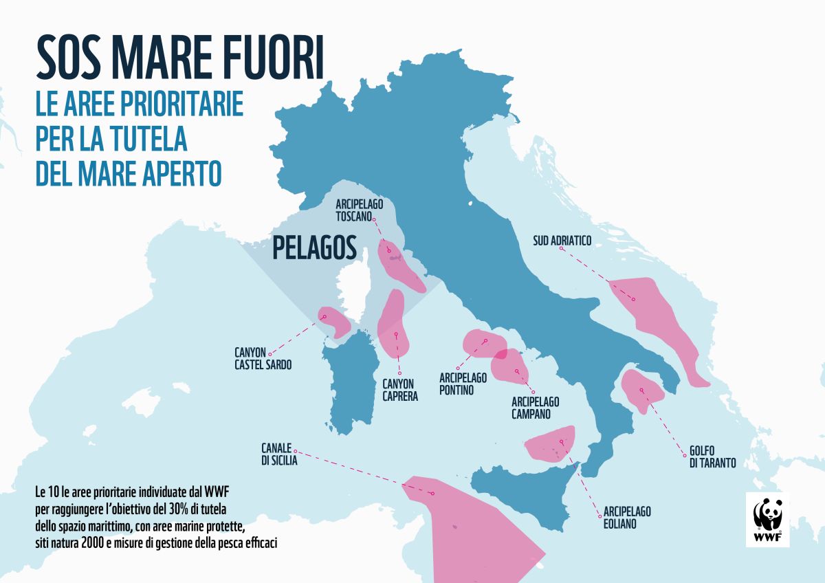 Le aree prioritarie per la tutela del mare aperto del Mediterraneo 