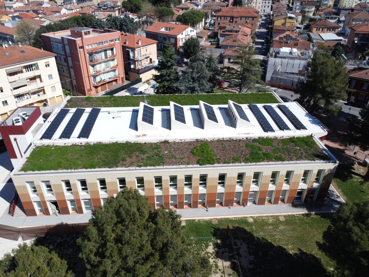 Tetto verde sulla Scuola Antonio Brancati di Pesaro. progetto Daku