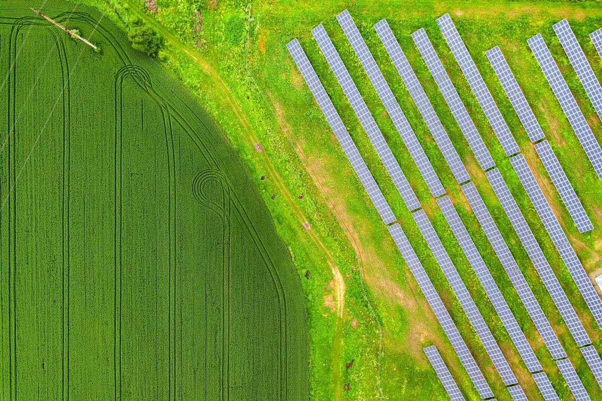 Agrivoltaico: il ruolo dell'attività agricola deve essere prioritario