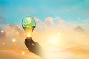 In Italia calano consumi energia e emissioni gas serra per unità di Pil