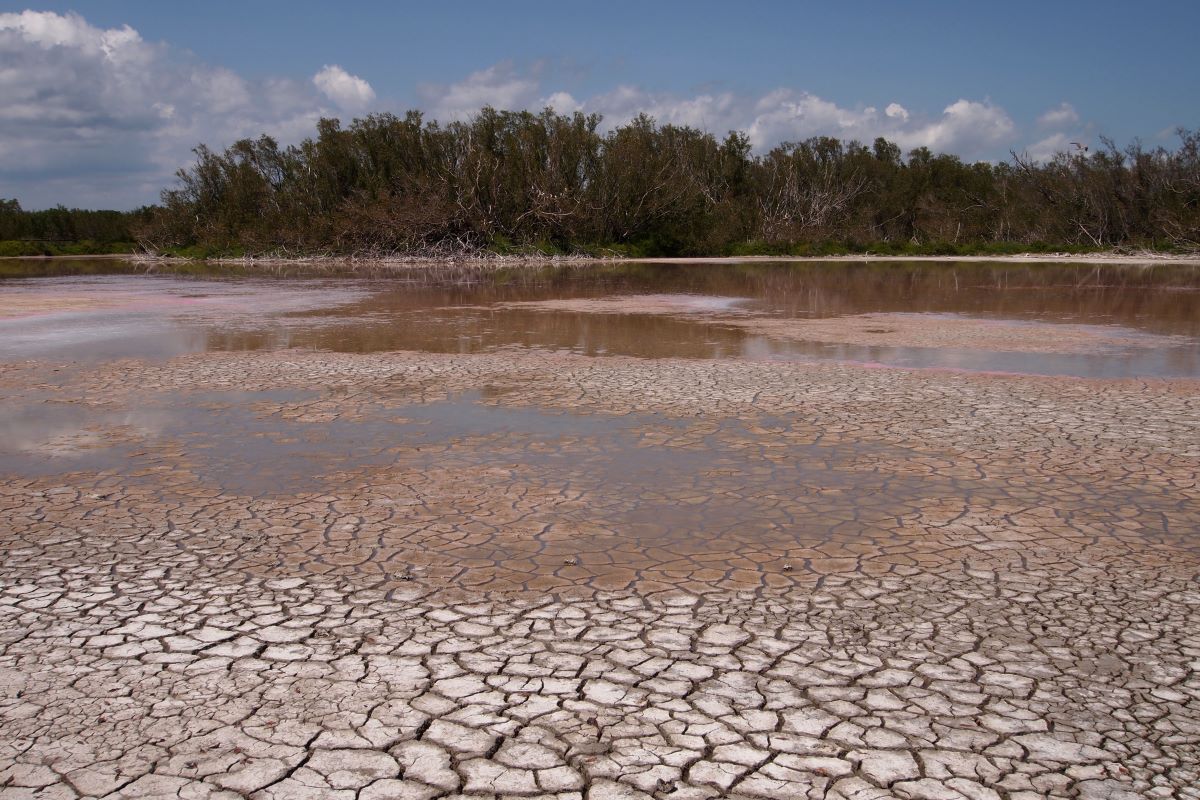 Cambiamento climatico: il 2022 in Europa segnato da caldo, siccità e incendi