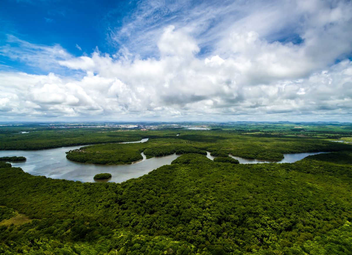 Nature restoration law: la legge sul ripristino della natura è realizzabile?