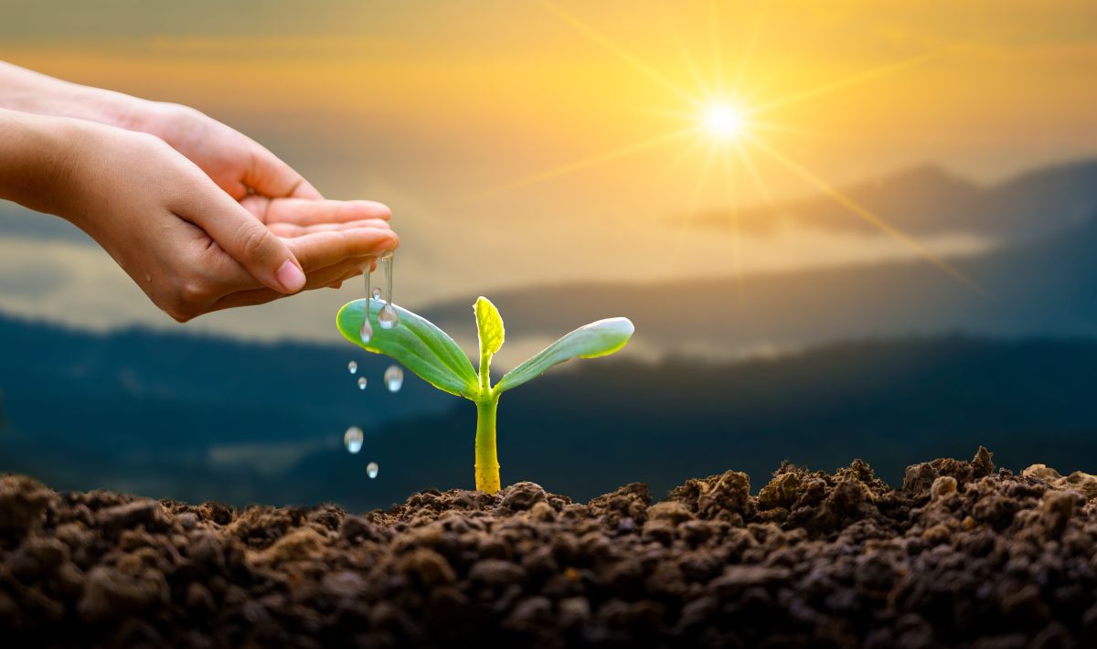 L’importanza delle Nature-based Solution