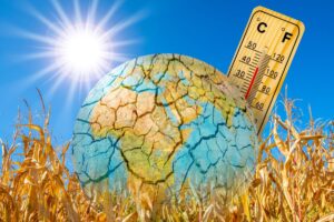 La settimana più calda di sempre, ed è solo l’inizio