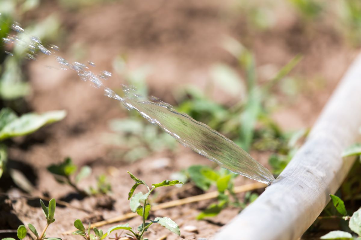 Qualità dell’acqua potabile: tra dispersione e volontà di riduzione (anche grazie al Pnrr)