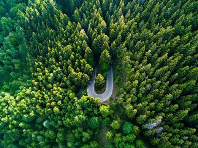 L’Oasi Zegna a Biella, una foresta in cui andare in vacanza