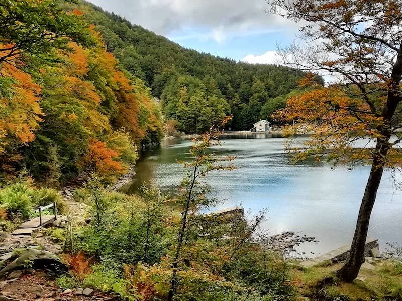 Il Parco nazionale dell’Appennino Tosco-Emiliano