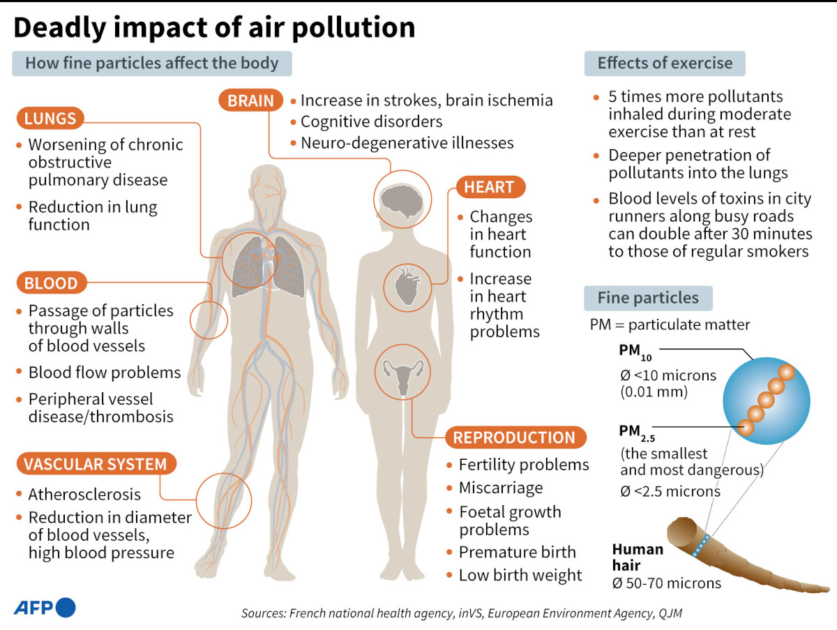 Impatto della qualità dell'aria (e dell'inquinamento) sulla salute umana.