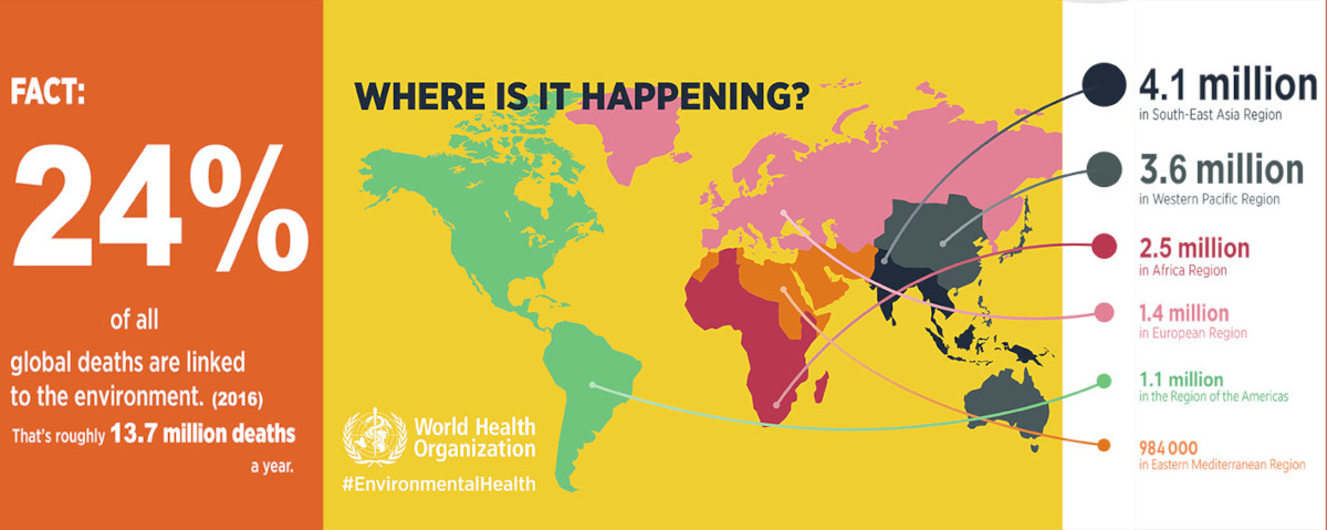 Nel mondo circa un quarto delle malattie ovvero il 24% sono patologie ambiente-correlate