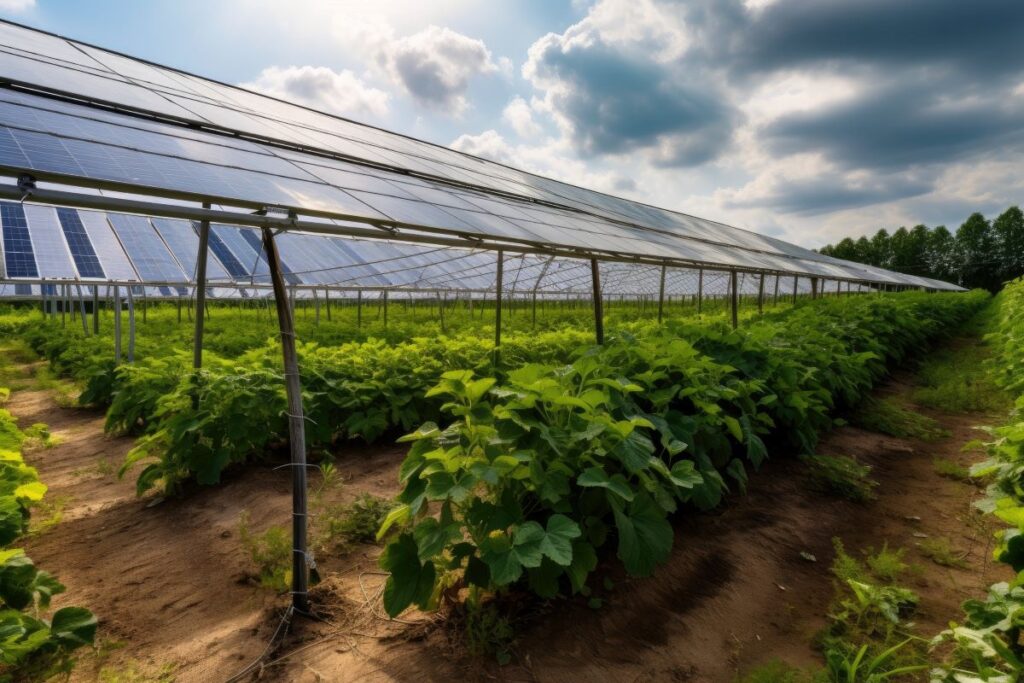 Agrivoltaico in Italia, la mappa dell’ENEA rivela le regioni più green