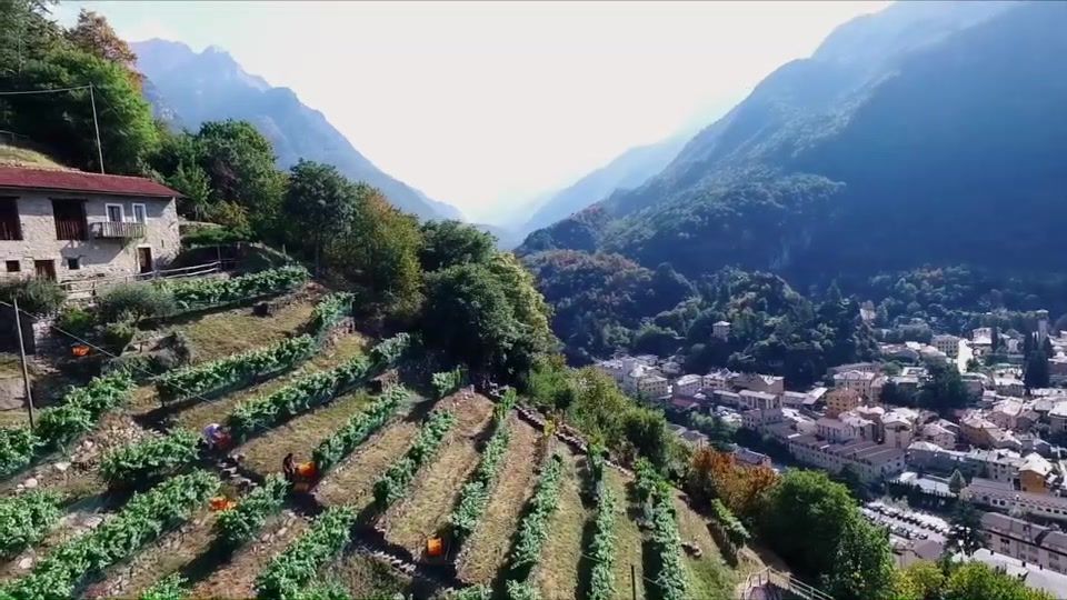 Cantina vinicola Mamete Prevostini