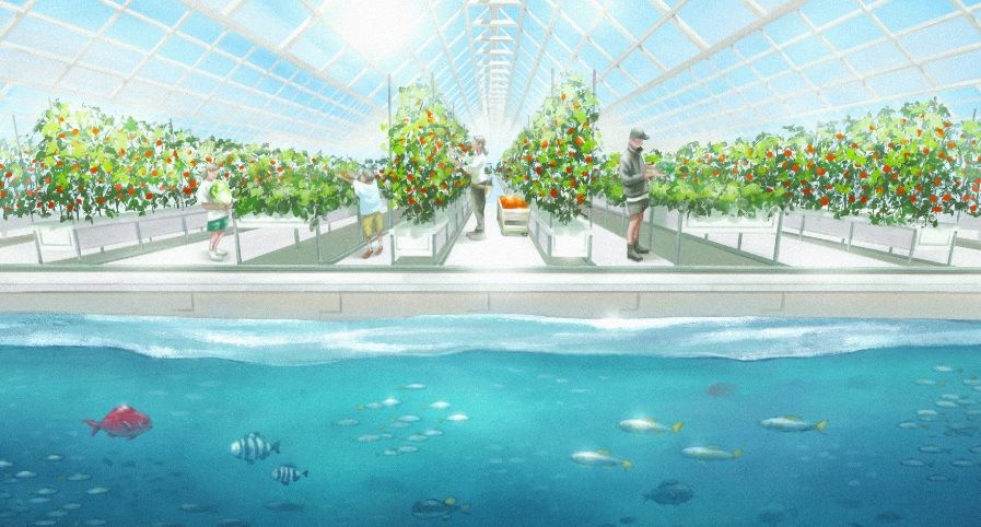 Dogen City propone un nuovo modello di produzione alimentare