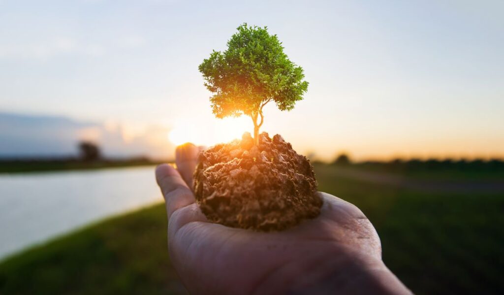 Nature restoration law: l’OK dal Consiglio Europeo per ripristinare il 20% di terre e mari