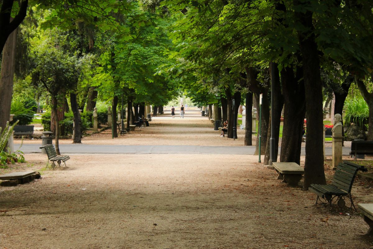 L'importanza degli spazi verdi in città