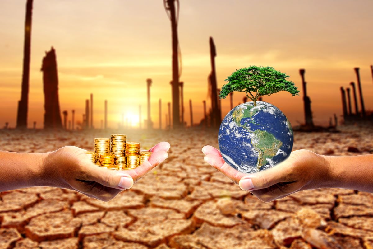 COP28: gli eurodeputati chiedono che tutti i paesi rafforzino i propri impegni sul clima