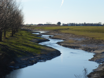 Tullstorpsån: il recupero del bacino fluviale per i proprietari terrieri