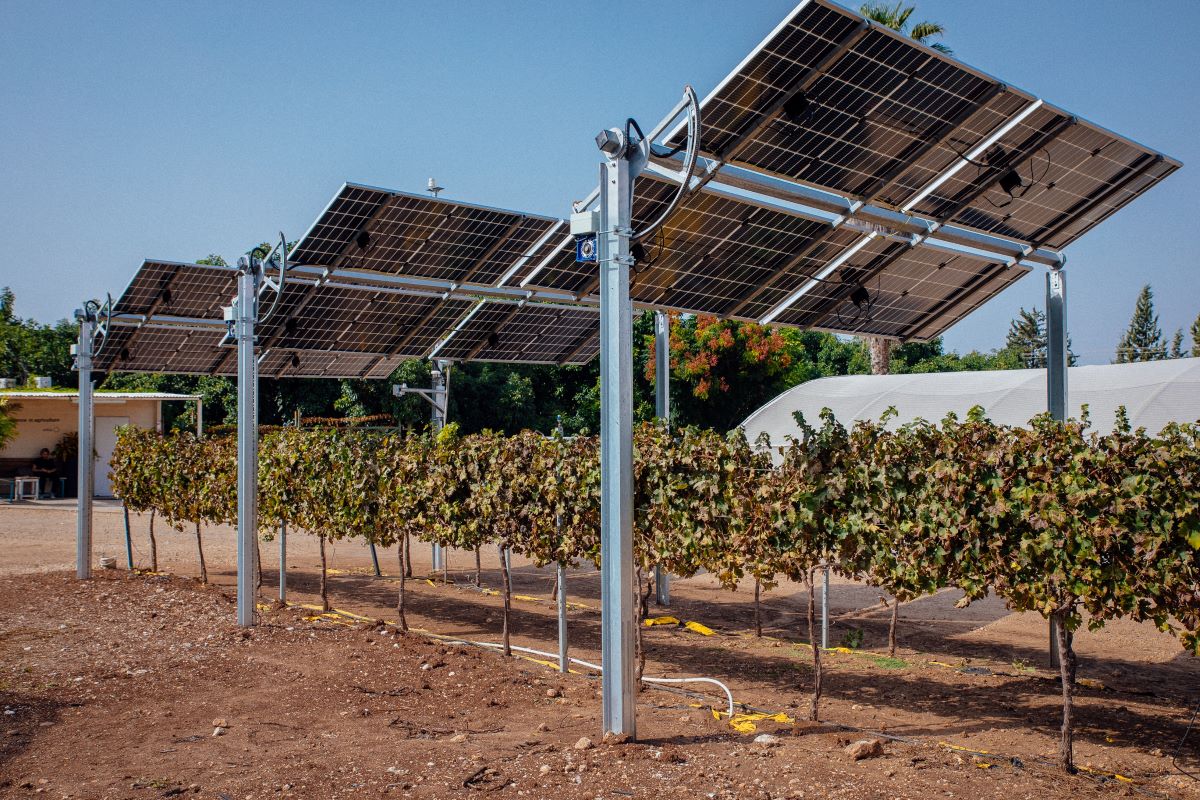 I benefici dell'agrivoltaico per l'agricoltura